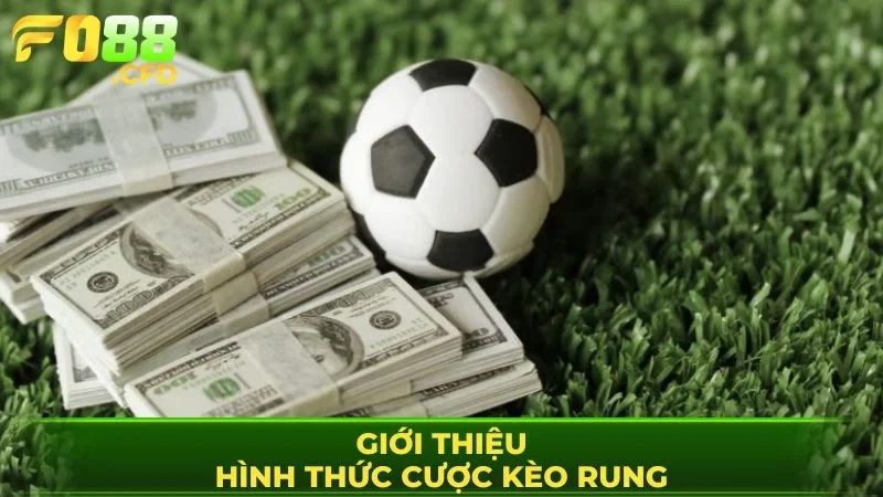 Tìm hiểu các thông tin cần biết về kèo rung tại FO88